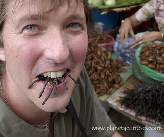 http://camboya.pordescubrir.com/wp-content/uploads/2009/06/tarantulas.jpg